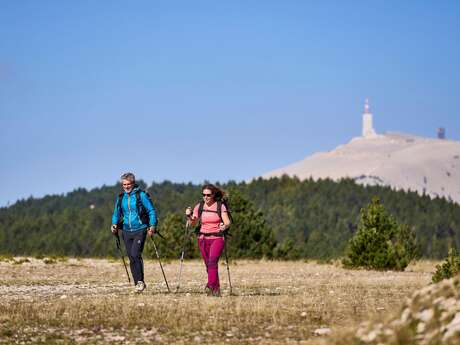 BÉDOIN - Les crêtes du Mont Ventoux