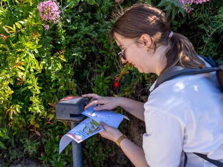 Orienteering races in the village of Grimaud