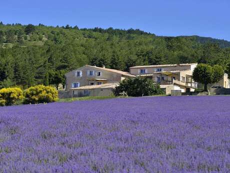 Meublé Campagne Truc