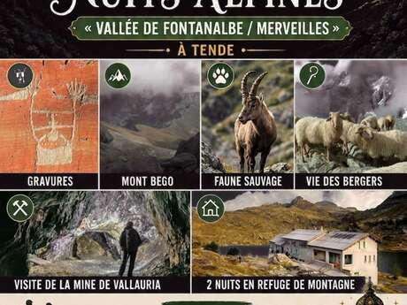 "1001 Nights in the Alps" stay