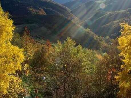 Une journée en forêt avec Racines de Terriens Une journée en forêt avec Racines de Terriens