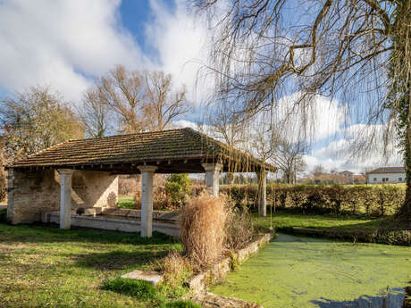 Rundweg zum Teich Moulin in Condeissiat