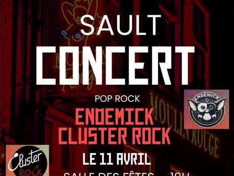 Concert Pop-Rock