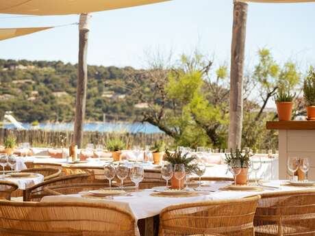 Club Les Palmiers