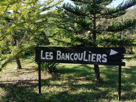 レ・バンクリエ・ド・ファリノ ー キャンプ場