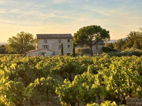 Domaine du Chat Blanc