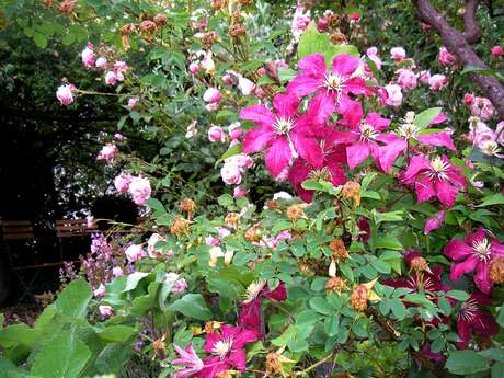 Jardin des Cordeliers