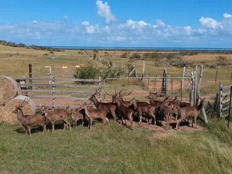 Chasse sur une propriété d'élevage