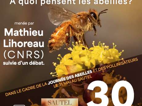 Conférence "A quoi pensent les abeilles ?"