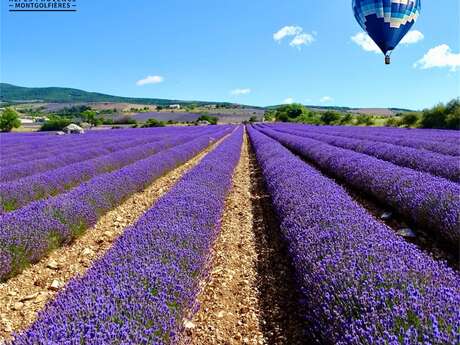 Alpes Provence Montgolfières