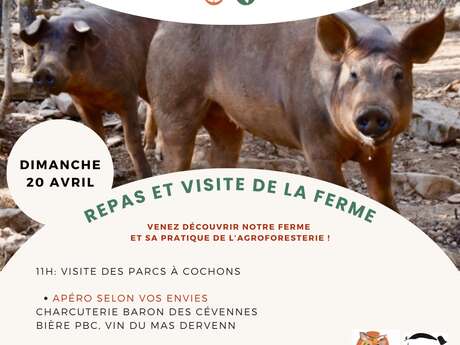 Repas et visite de ferme