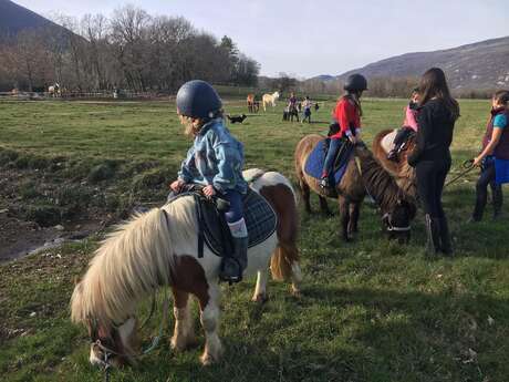 Summer courses at the Terre et Ciel equestrian centre
