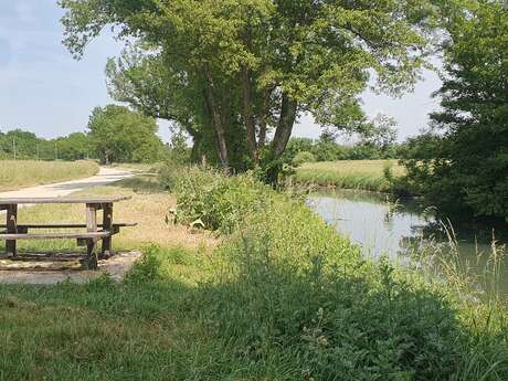 Balade - Moulins de Polliat