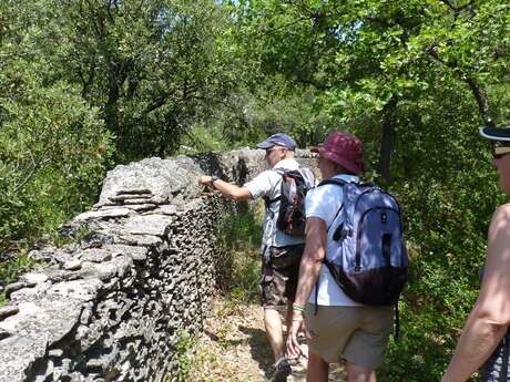 LES BEAUMETTES - Balade des garrigues