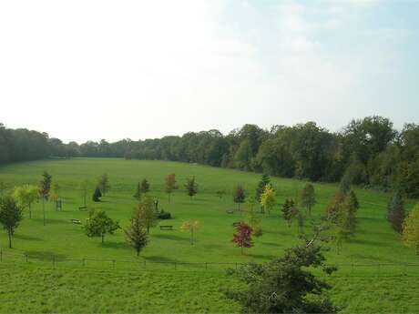 Arboretum de Ripaille