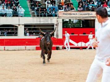 Feria - Course Camarguaise "Trophée de l’Avenir"