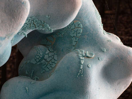 Installation céramique : Aquam Requiem