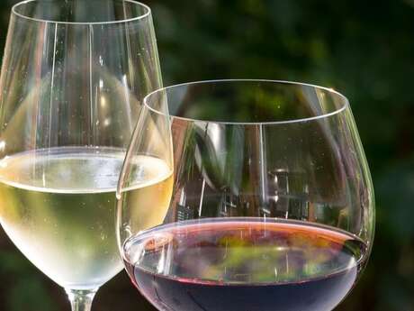 Lancement du vin primeur BIO