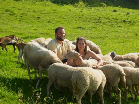 De ferme en ferme "La bergerie du vieux moulin"