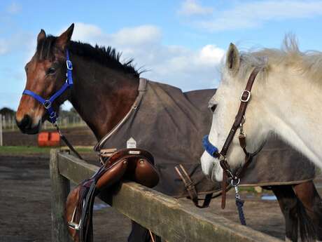 Balade à cheval de 3h à la découverte du métier de saunier