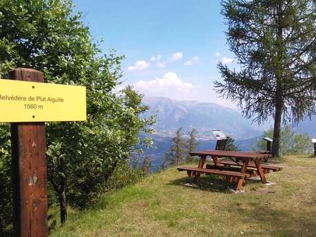 Boucle de Plat Aiguille