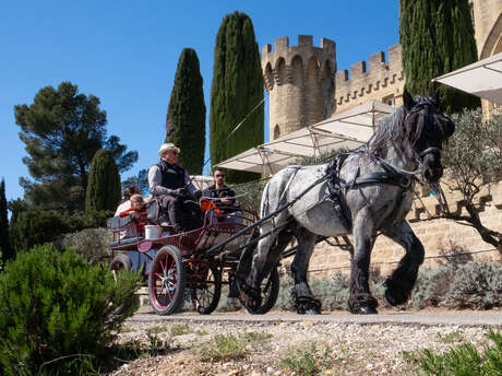 "Aperitif-carriage" with Cavalino Mistrau & Domaine de Pécoulette