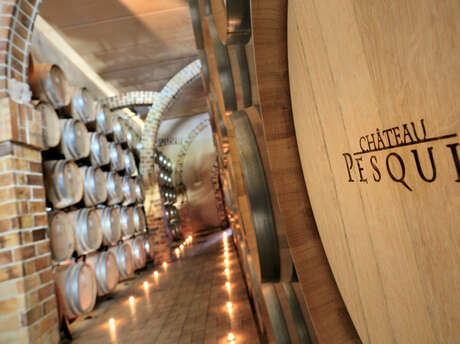 Guided visit of the cellars and tasting at Château Pesquié