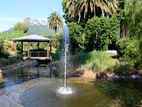 Safari photo : objectif La Farlède