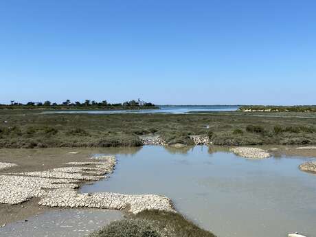 Marais et Fier d'Ars