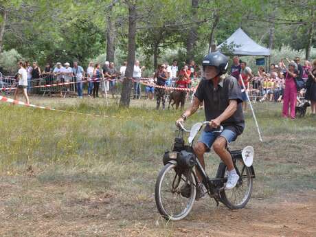 Solex cup
