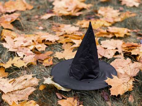 Fresque Collective - Dans le ventre de Cornebidouille