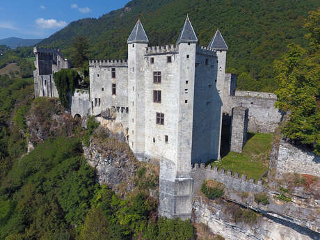 Conférence "Protéger, résider, paraître : archéologie des châteaux des Alpes du nord (1970-2025)"