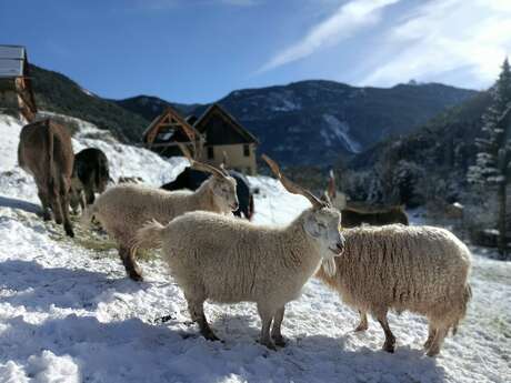 La ferme des Moulins