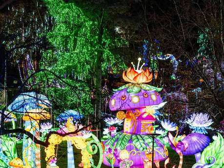 Illuminations « Voyage au pays des lanternes »