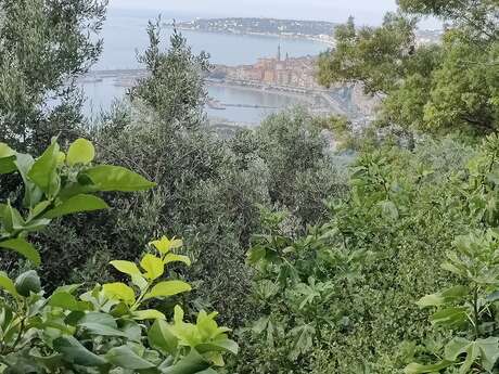 Randonnée urbaine et halte dans une exploitation agricole