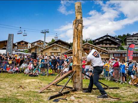 Wood Festival and Woodworking