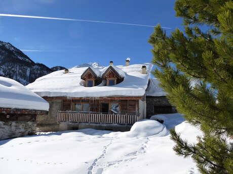 De Surirey Dominique - Le Bacha