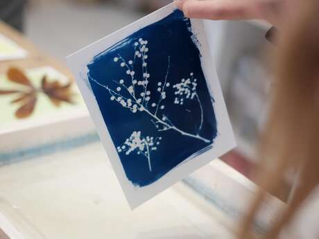 Atelier cyanotype