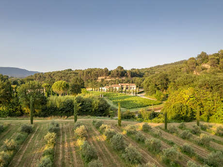 Visite de l'oliveraie de la Bastide Du Laval