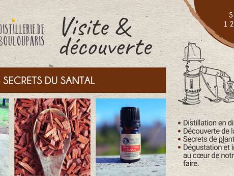 Visite et découverte - Distillerie de Boulouparis