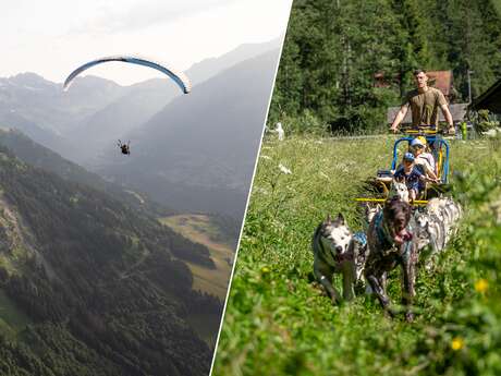 Paragliding & Sled dogs/Cani-Kart Paragliding & Sled dogs/Cani-Kart