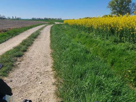 Circuit Gravel n°11 (blue) - Prairie de Jayat - Chartreuse de Montmerle