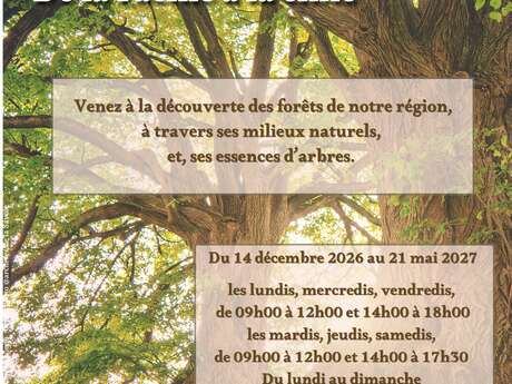 Exposition "De la racine à la cime"