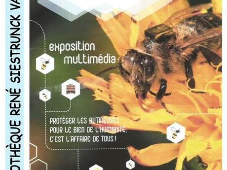 Exposition multimédia : Sauvons les abeilles !