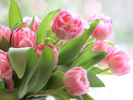 Flower Market