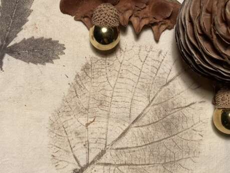 Atelier Tataki Zomé · Impressions végétales japonaises