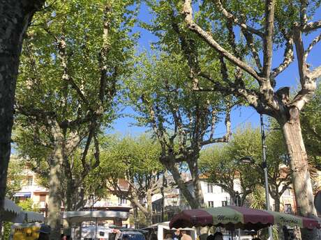 Place du Grand Jardin