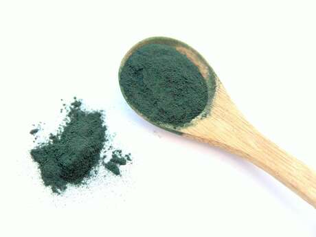 Spiruline de la fontaine