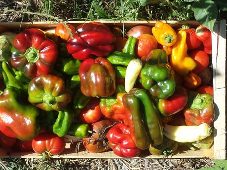 La Ferme le Bastidon