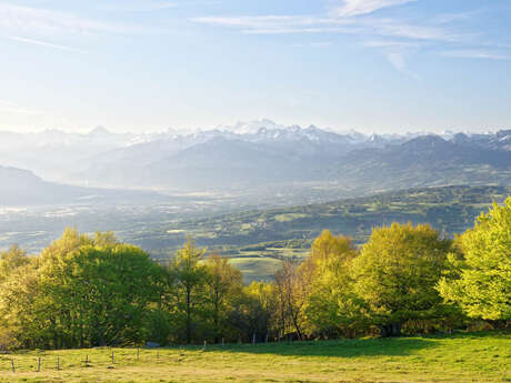 Cycling route: Montée de la table d'orientation